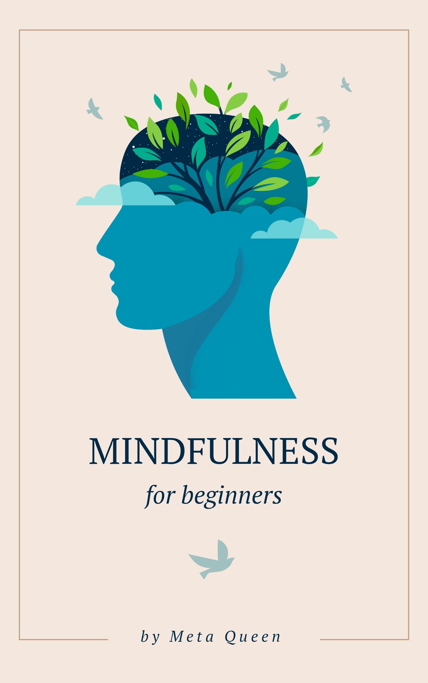 Mindfulness for beginners